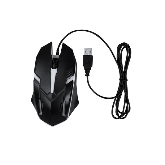 Souris (lot de 50)