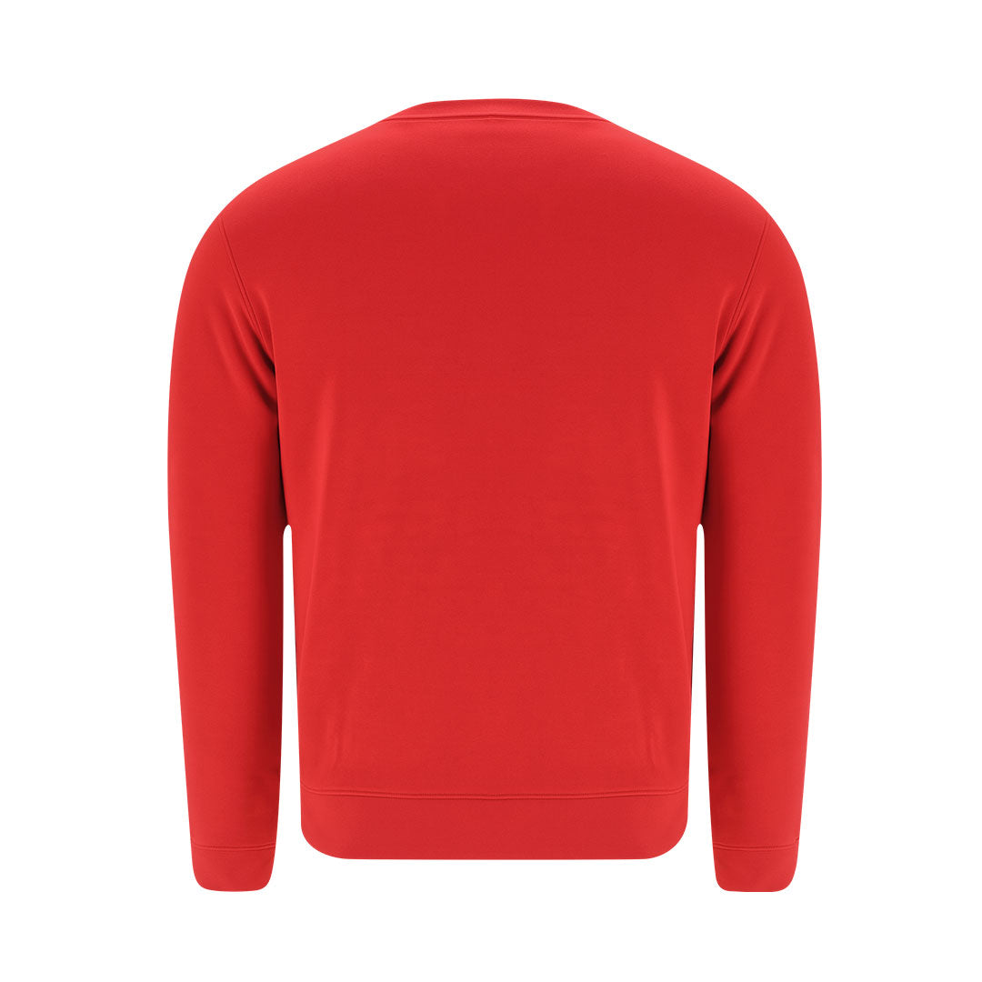 Sudadera Niño (lote de 5)