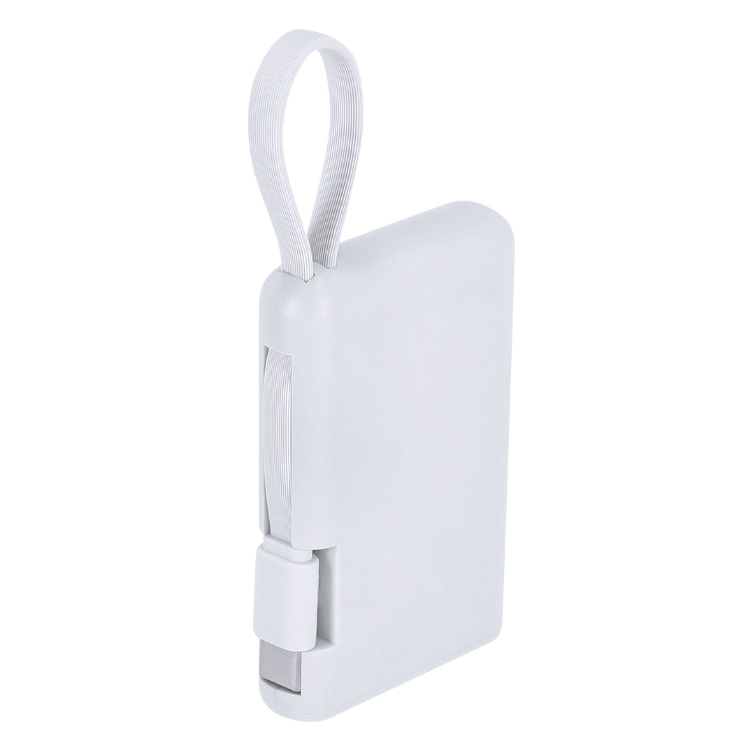 Powerbank (50er-Pack)