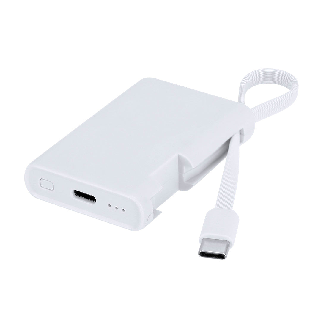 Powerbank (50er-Pack)