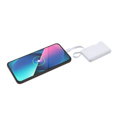Powerbank (50er-Pack)