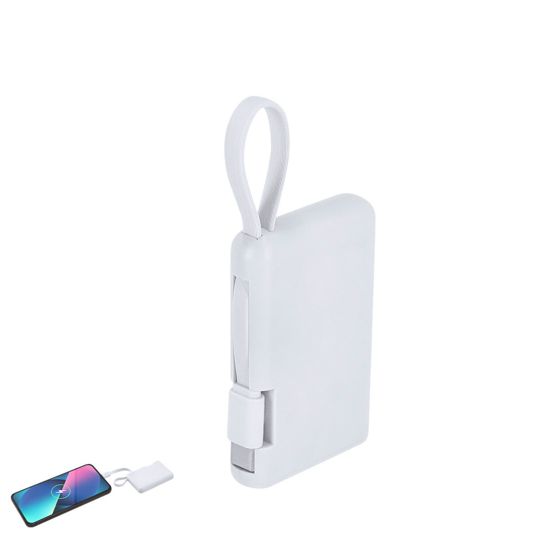 Powerbank (50er-Pack)