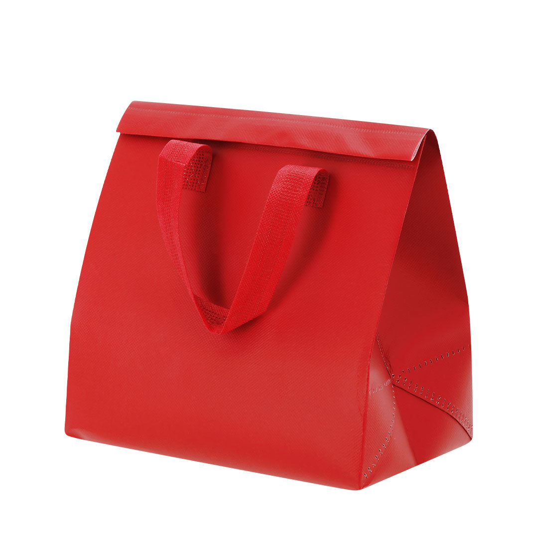 Bolsa Nevera (lote de 50)