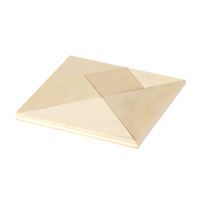 Puzzle (lote de 100)
