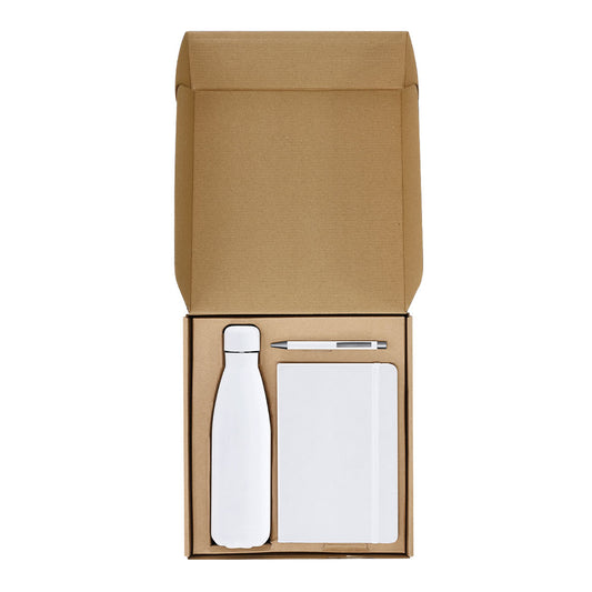 Set (lote de 20)