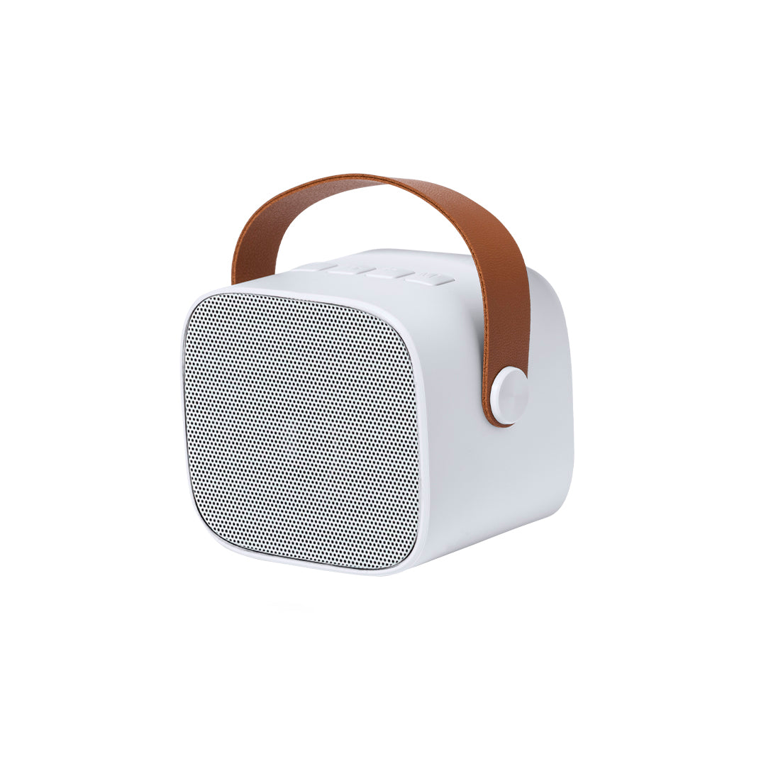 Altavoz (lote de 40)