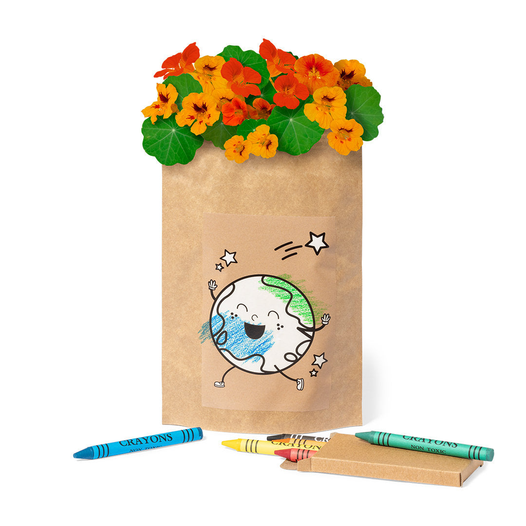 Blumentopf (50er-Pack)