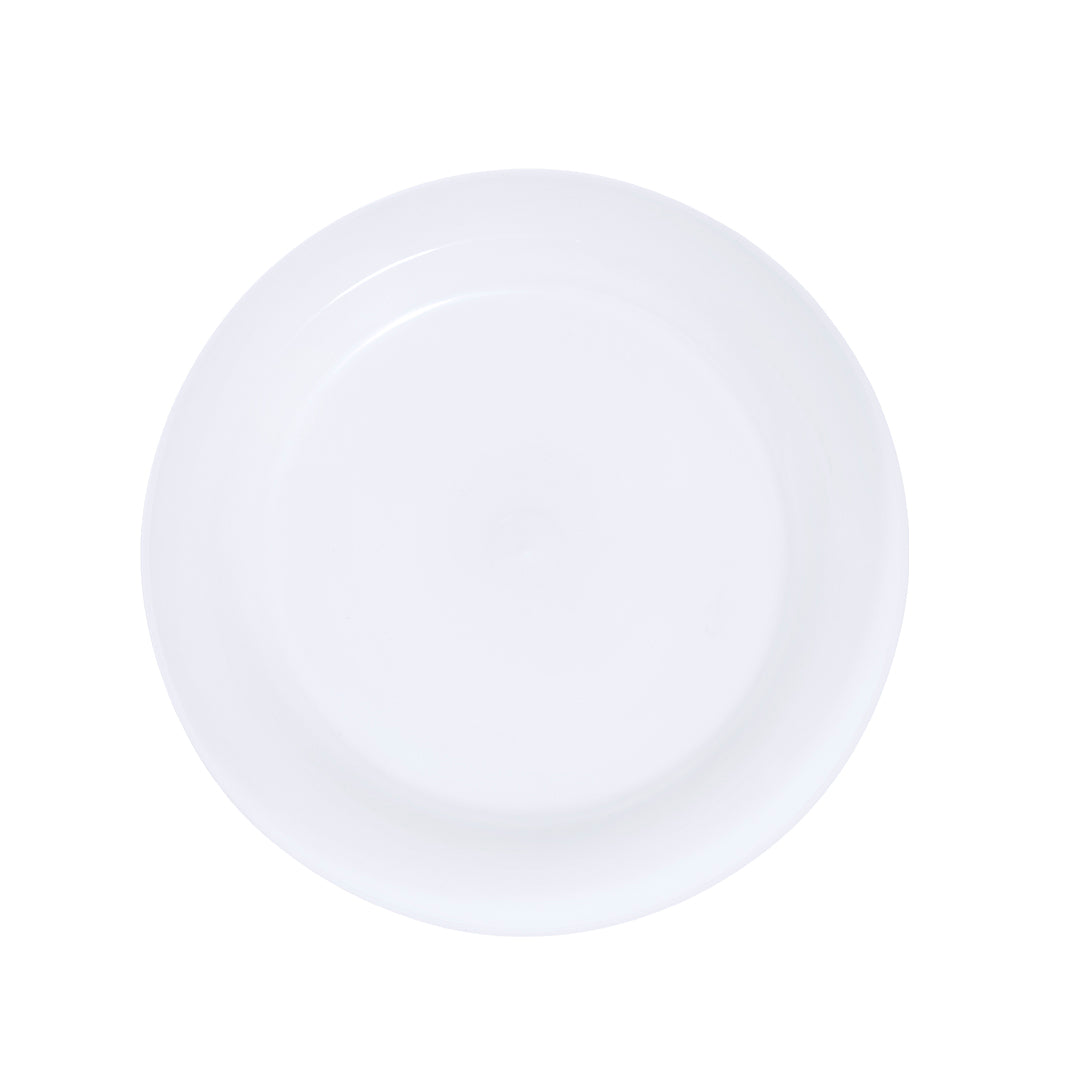 Plato (lote de 100)