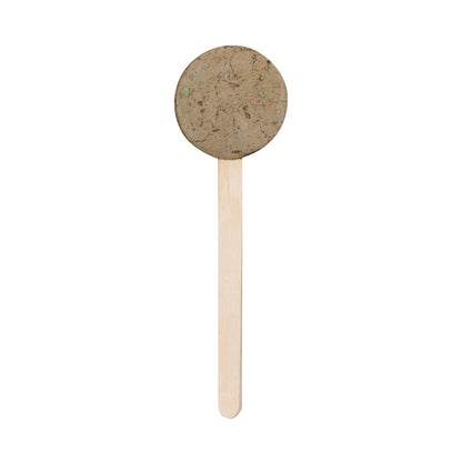 Sucette Graines (lot de 50)