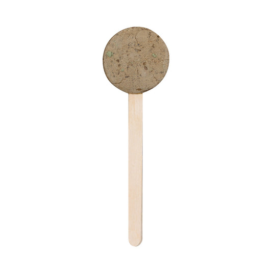 Piruleta Semillas (lote de 50)