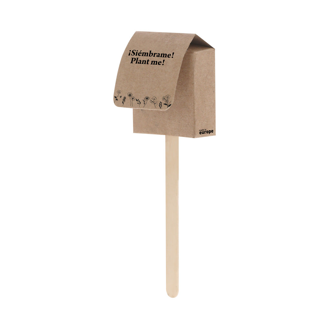 Sucette Graines (lot de 50)