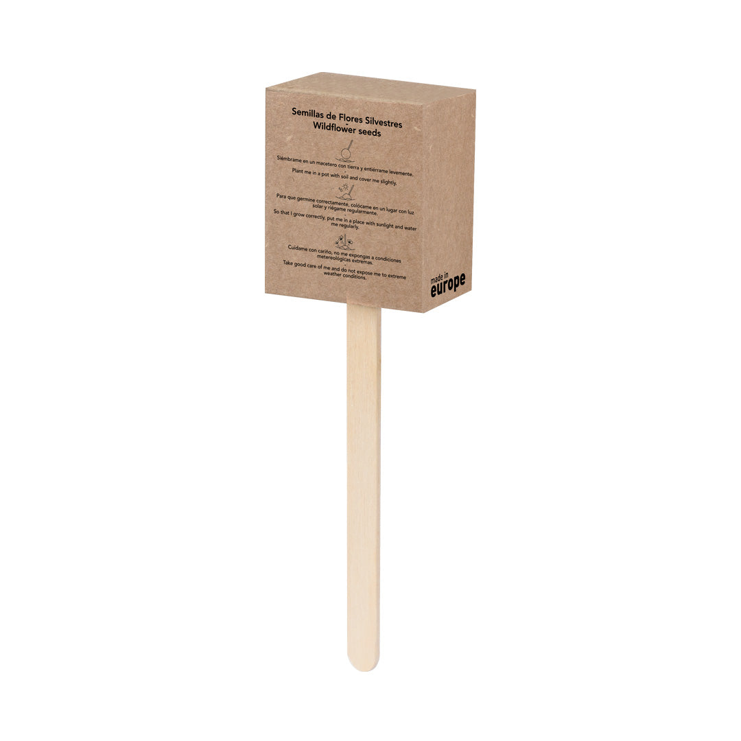 Sucette Graines (lot de 50)