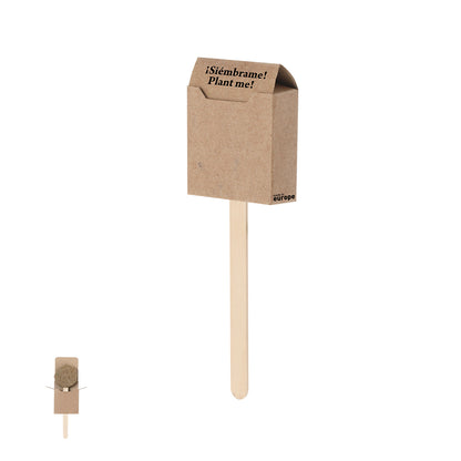 Sucette Graines (lot de 50)