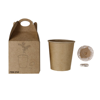 Maceta (lote de 150)