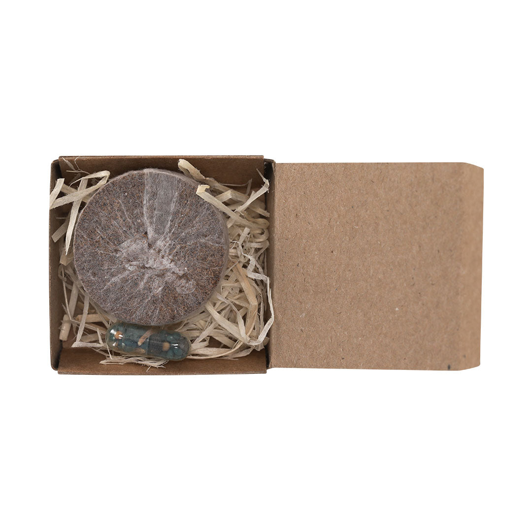 Pack Plantable (lote de 250)