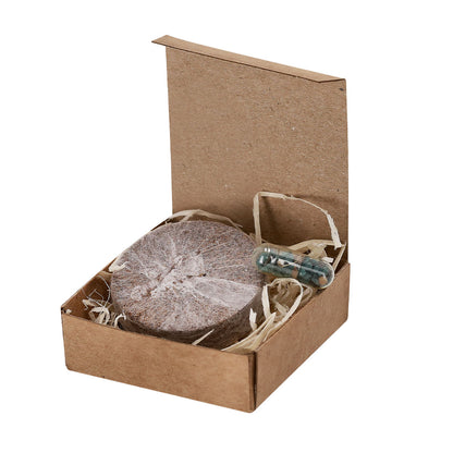 Pack Plantable (lote de 250)