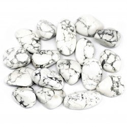 20 x Piedra preciosa africana  / Howlite Blanco