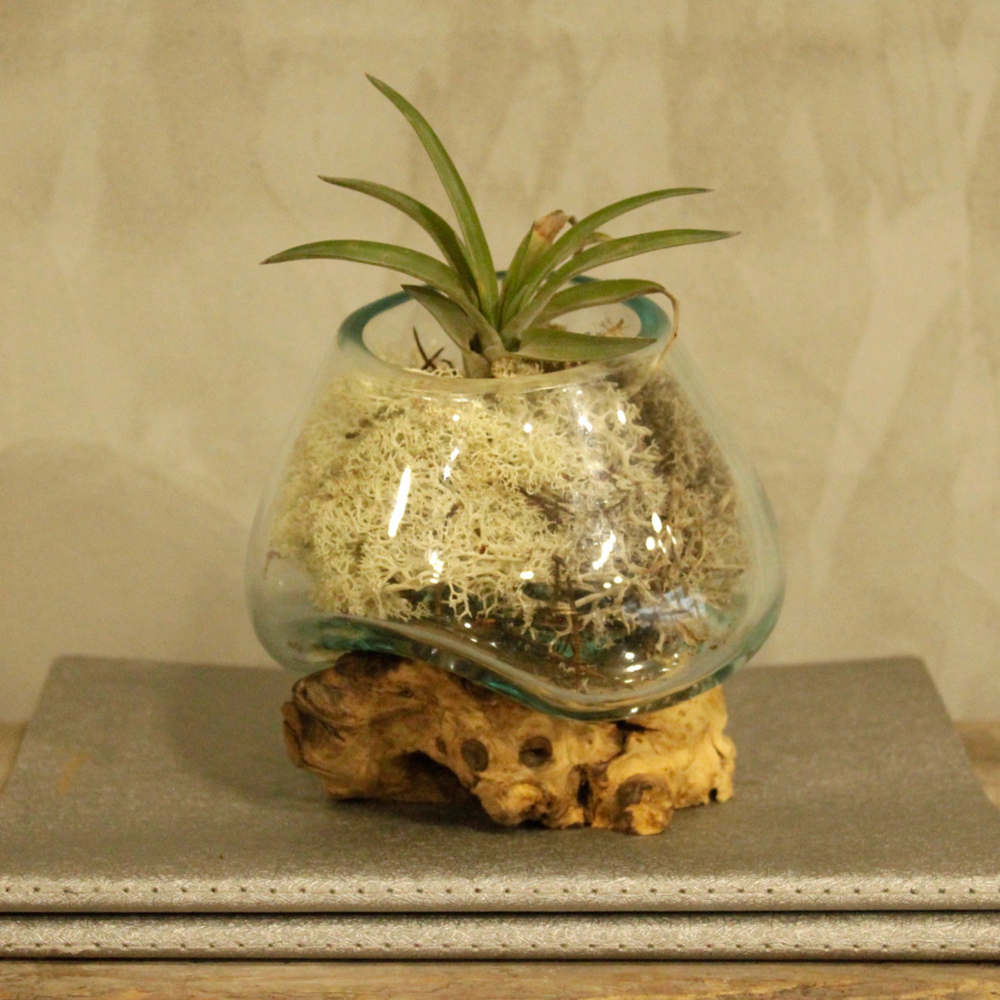 Geschmolzenes Glas auf Holz - Kleine Schale