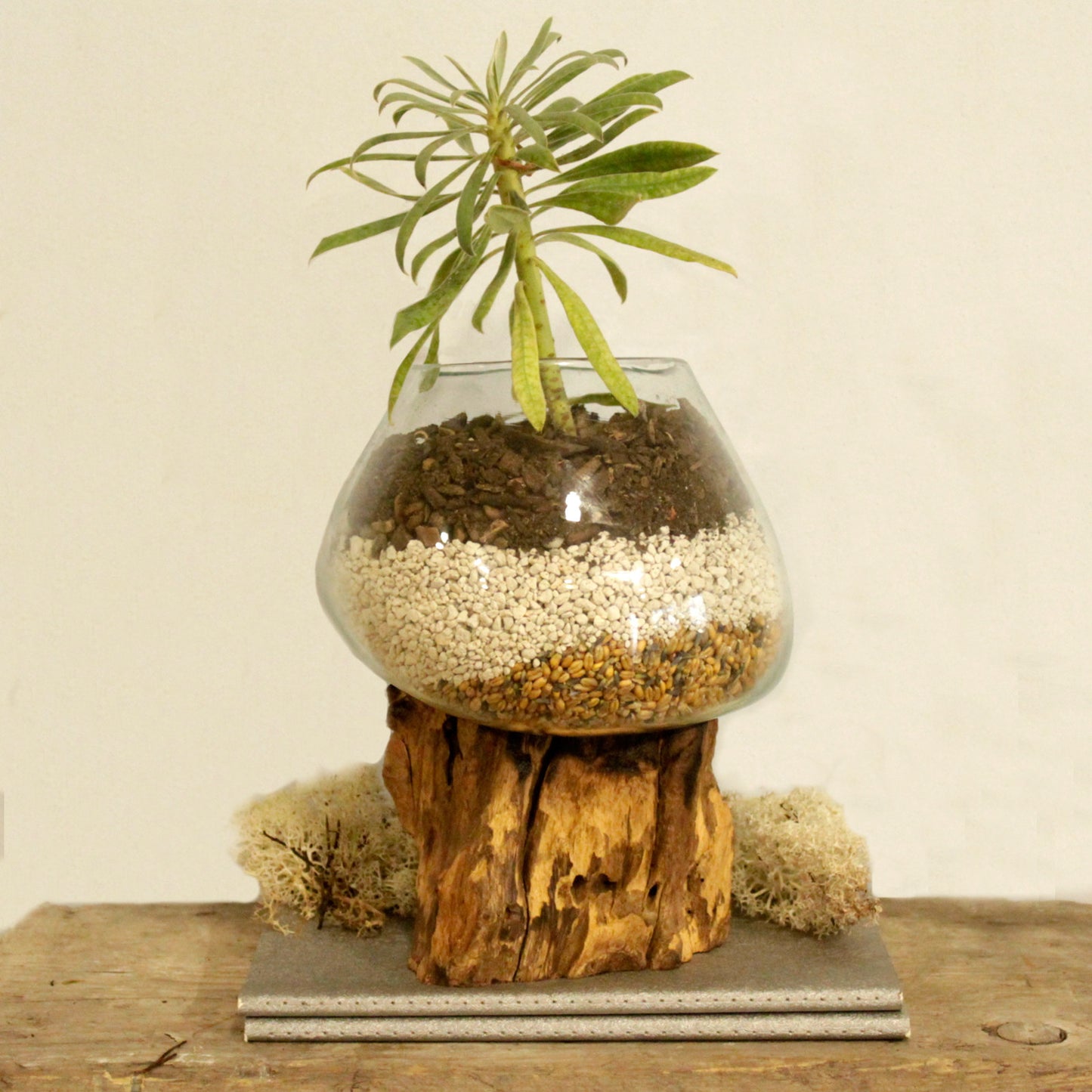Geschmolzenes Glas auf Holz - Große Schale