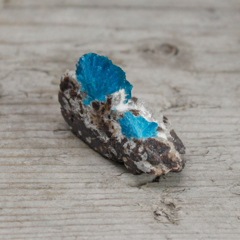Mineralien - Kleinprinit (ca. 25-50 Stück)
