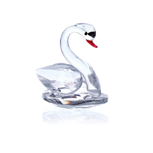 Weißer Schwan