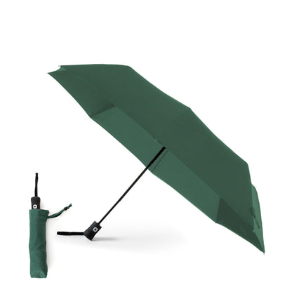 Regenschirme (10er-Pack)