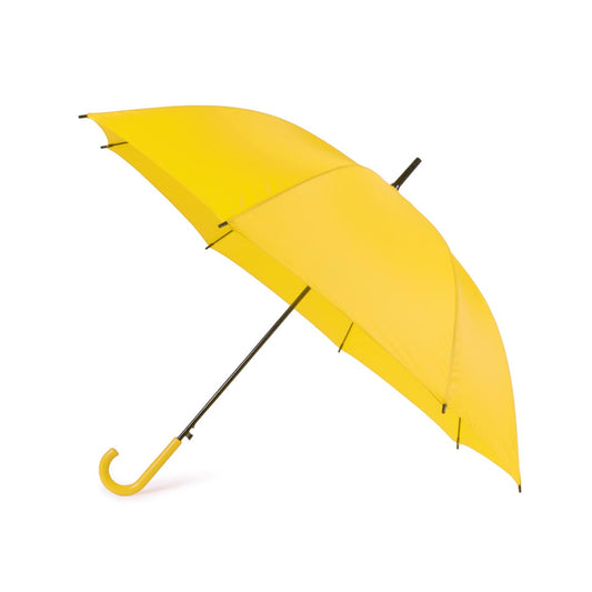 Parapluies (lot de 25)