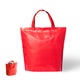 Bolsa Nevera (lote de 50)