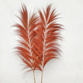 Rayung-Korallenpalme – 1,6 m