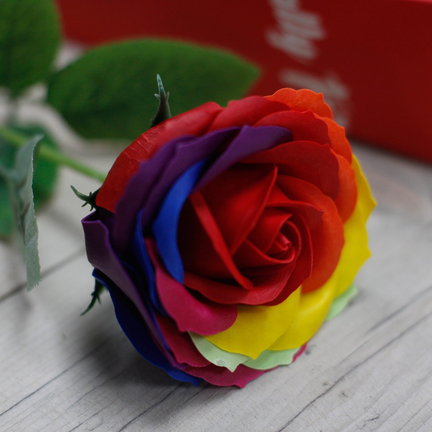 Einfaches Pink - Regenbogen