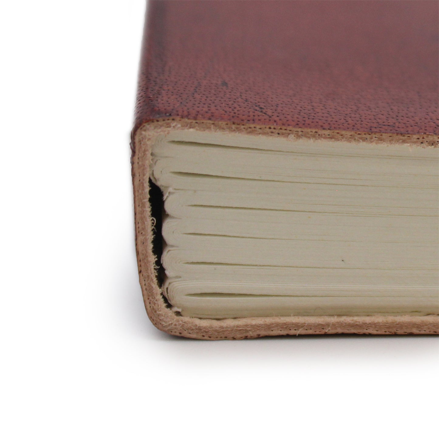 Kleines Notizbuch mit Gummiband - Handlesen