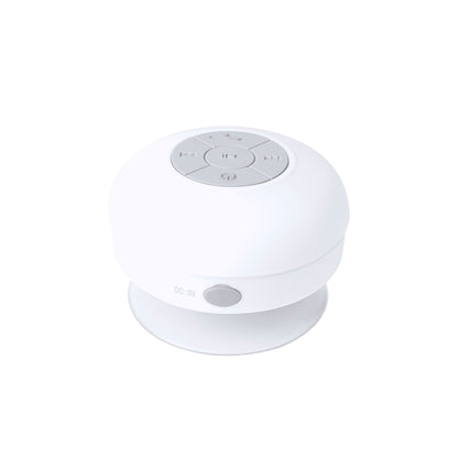 Altavoz (lote de 50)