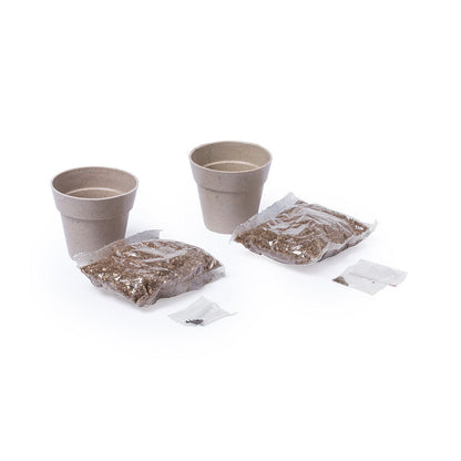 Set Macetas (lote de 50)