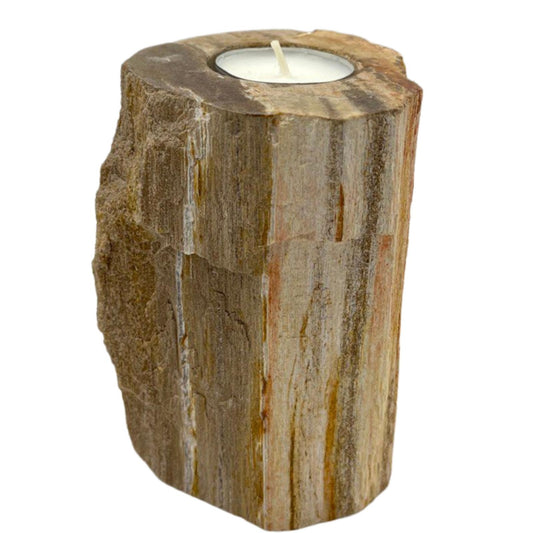 Kerzenhalter aus versteinertem Holz – hoch, einzeln