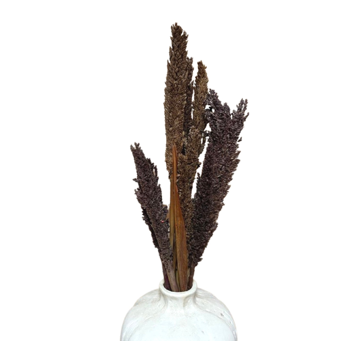 Bouquet d'herbes du Cantal - Chocolat