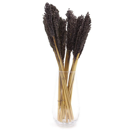 6 x Bund Cantal-Kraut - Schwarz
