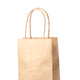 Bolsa (lote de 100)