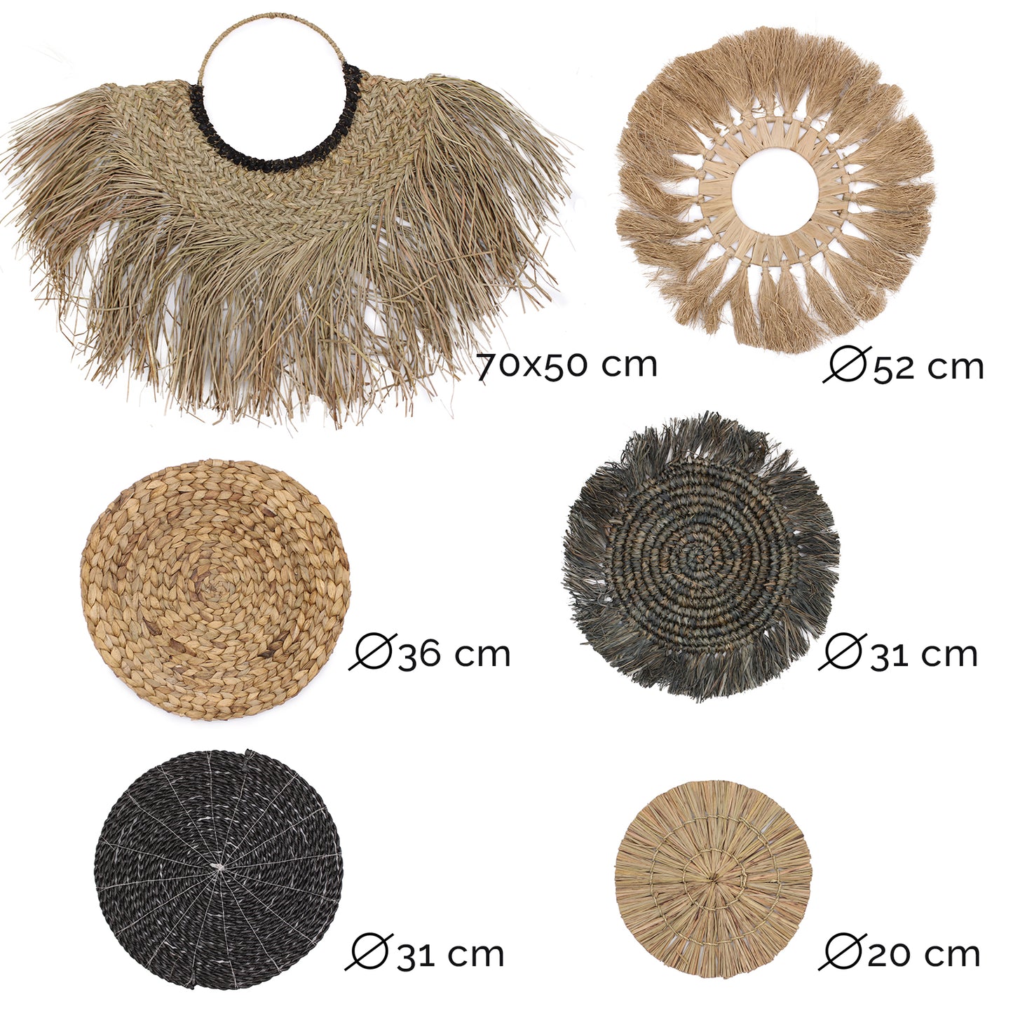 Set aus sechs Naturgemälden - Bintang Collection
