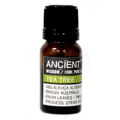 Aceite Esencial Árbol de Té