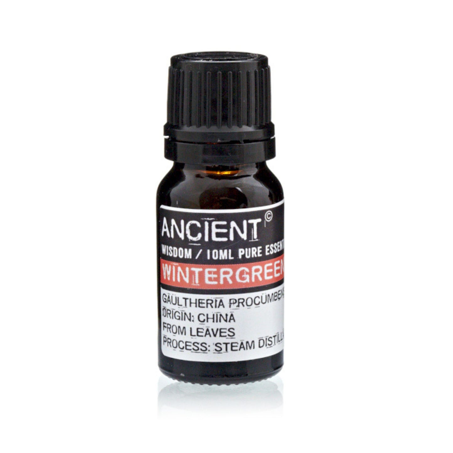 Wintergrün ätherische Öle 10ml