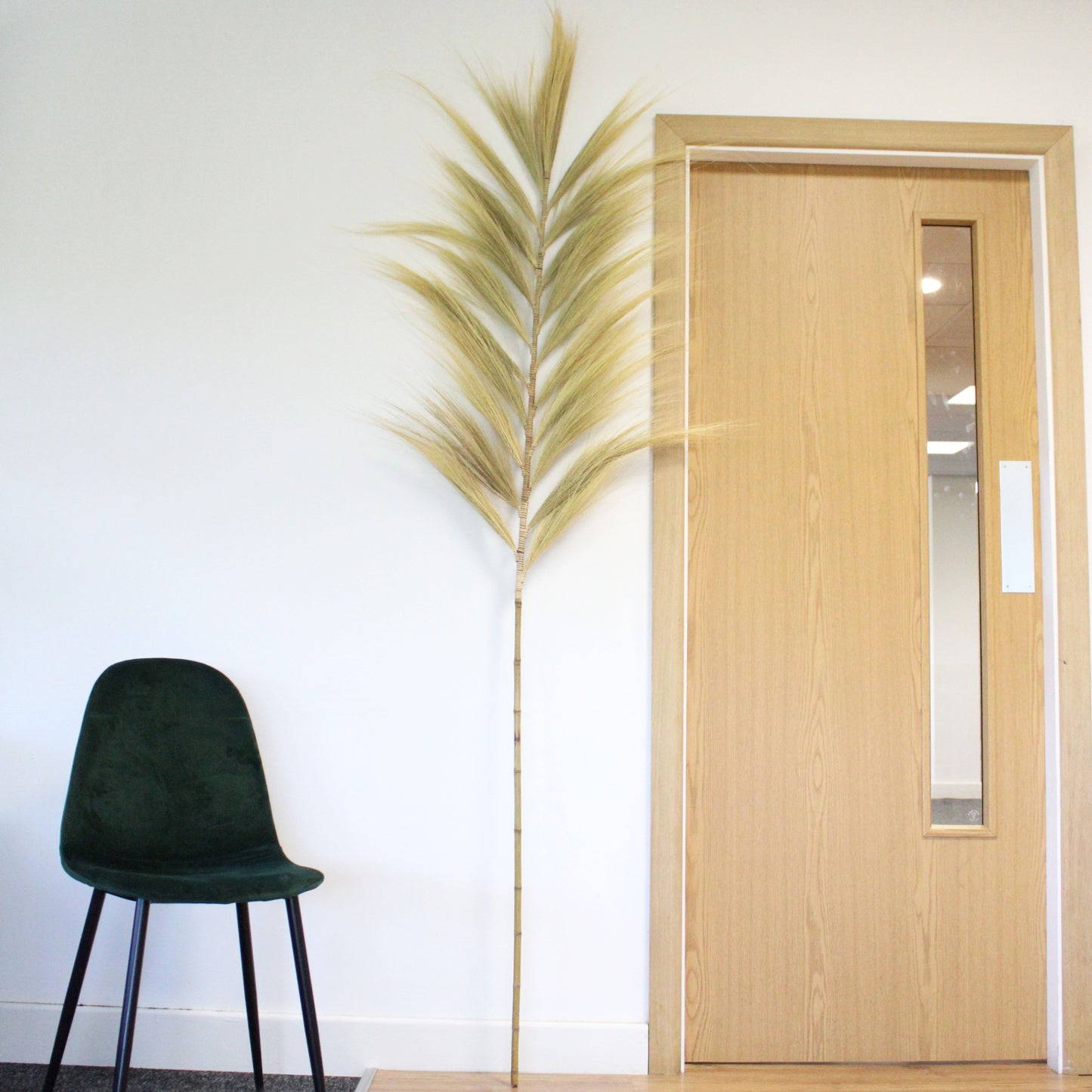 Rayung Blonde Palme - 2m