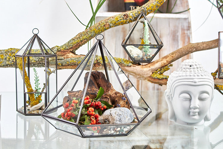 Glasterrarium - Kleiner Diamant