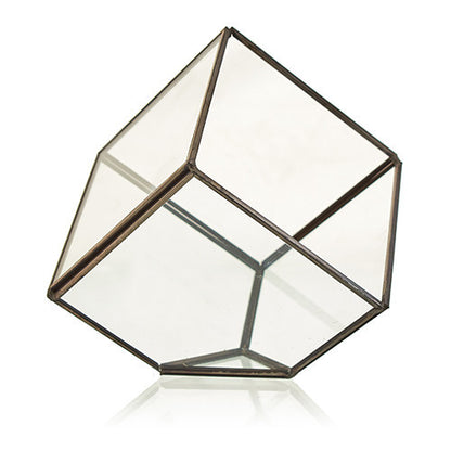 Terrario Vidrio Cubo en la Esquina