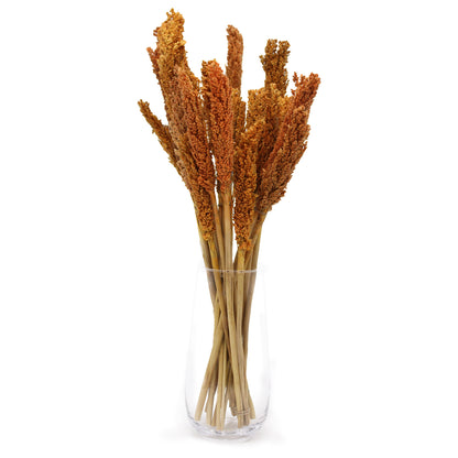 Bouquet d'herbes du Cantal - Orange