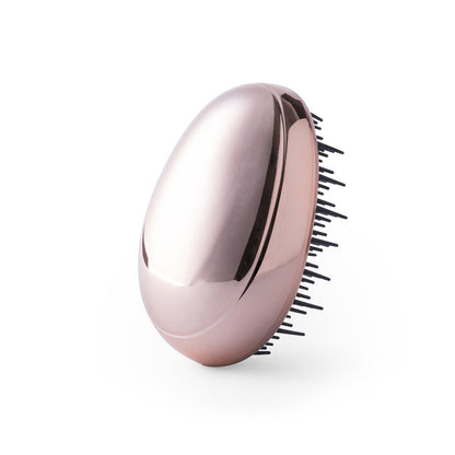 Brosse (lot de 50)