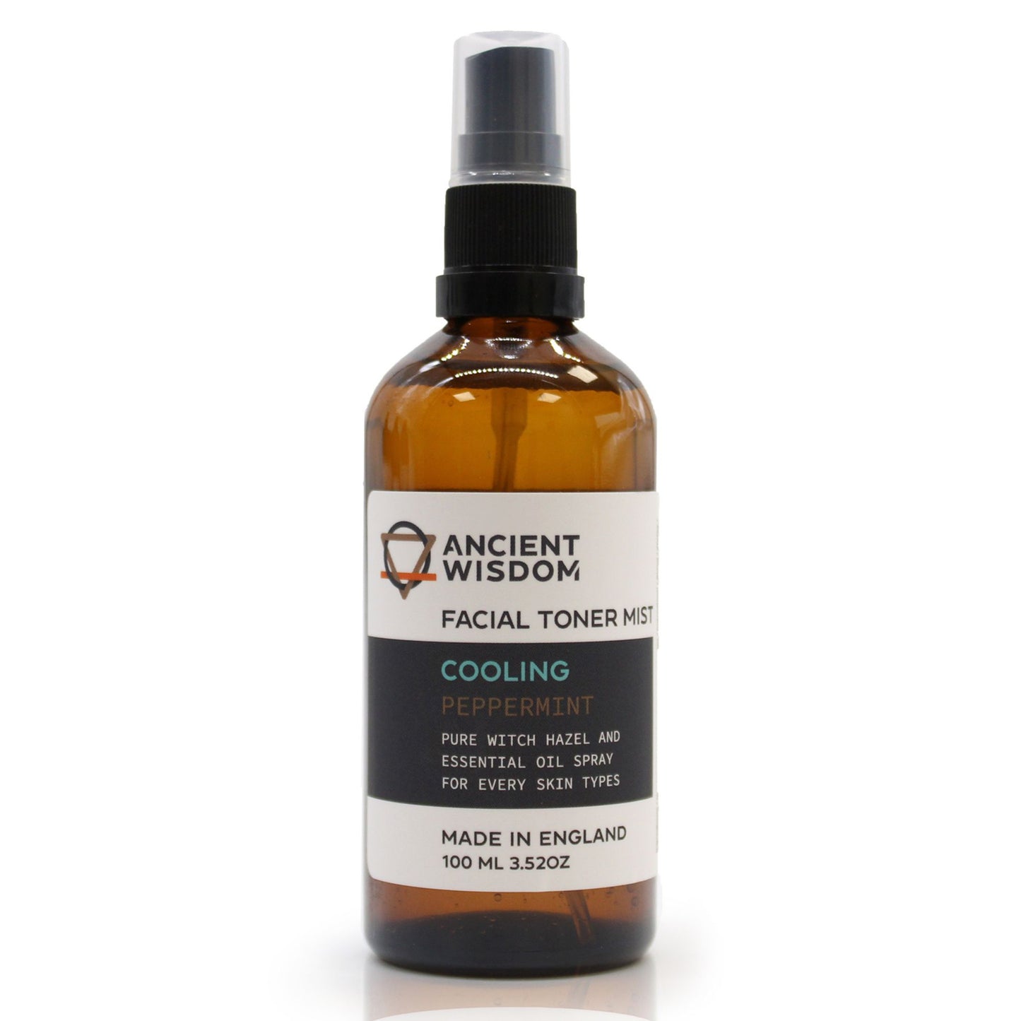 Minz-Gesichtsfeuchtigkeitscreme 100 ml