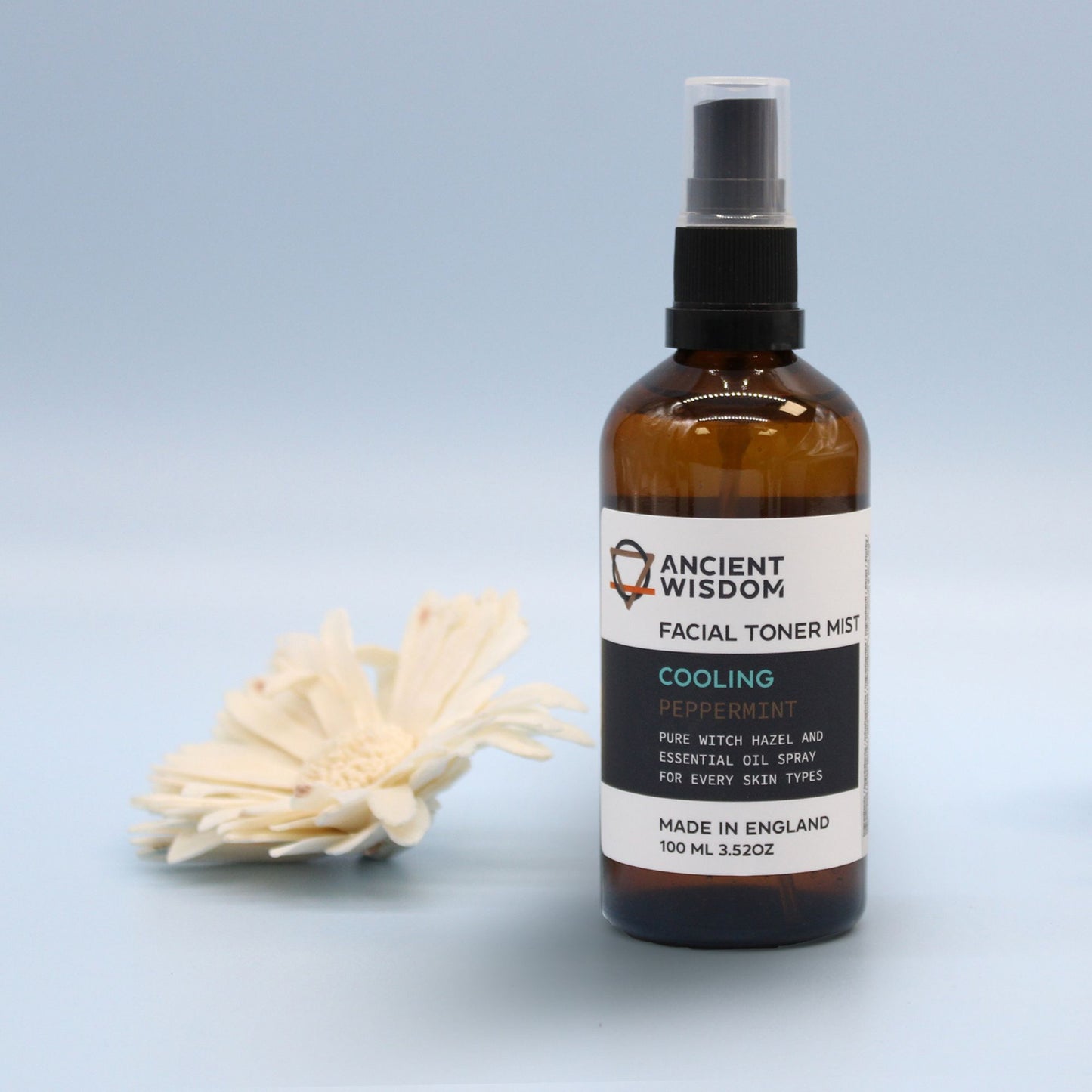 Minz-Gesichtsfeuchtigkeitscreme 100 ml
