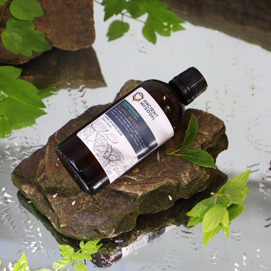 Minzhydrolat 100ml