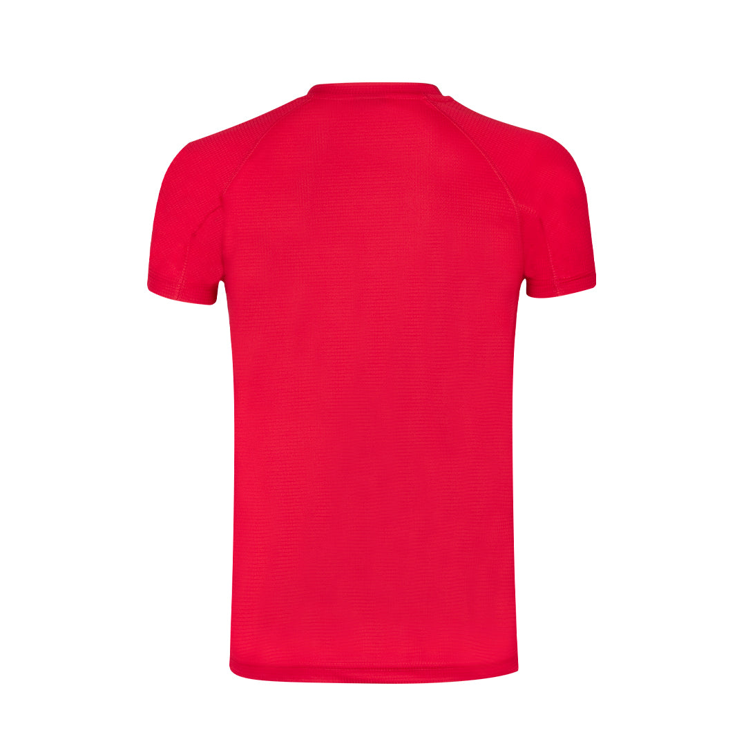 Camiseta Adulto (lote de 10)