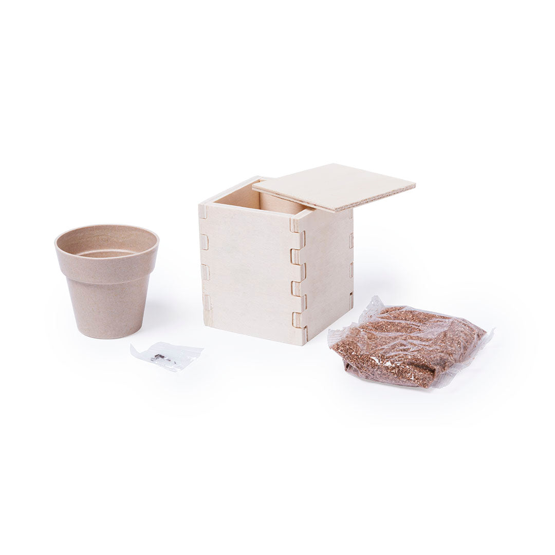 Pot (lot de 60)